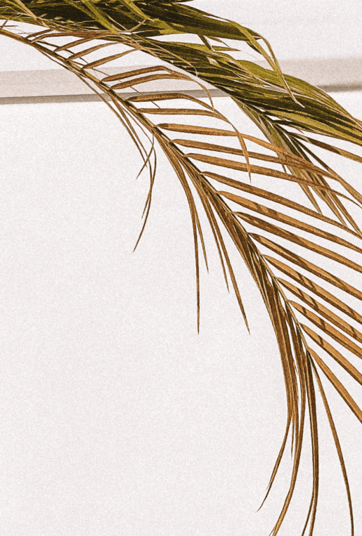 charlotablunarova-com-zyA1a1obMhA-unsplash-edit1-crp charlotablunarova-com-zyA1a1obMhA-unsplash-edit1-crp